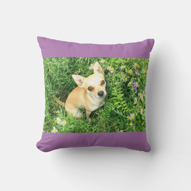 almohada de tiro chihuahua púrpura. (Anverso)