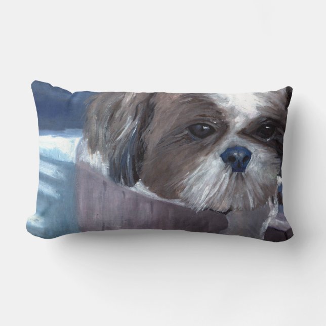 Almohada de tiro de Billy (Anverso)
