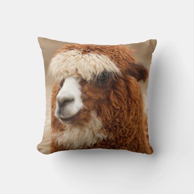 Almohada de tiro de la alpaca (Anverso)