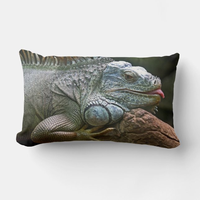 Almohada de tiro de la iguana (Anverso)
