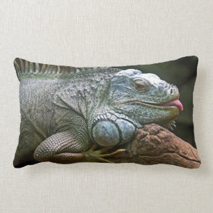 Almohada de tiro de la iguana