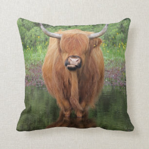 Almohada de tiro de la vaca de la montaña