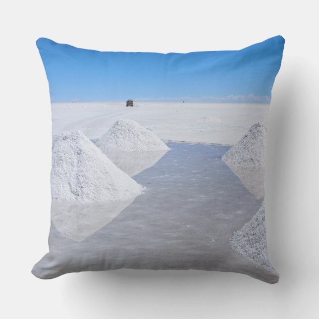 Almohada de tiro de los planos de la sal de Salar (Anverso)