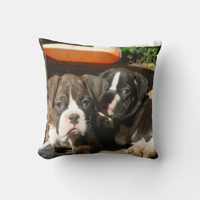 Almohada de tiro de MoJo del americano de los (Anverso)