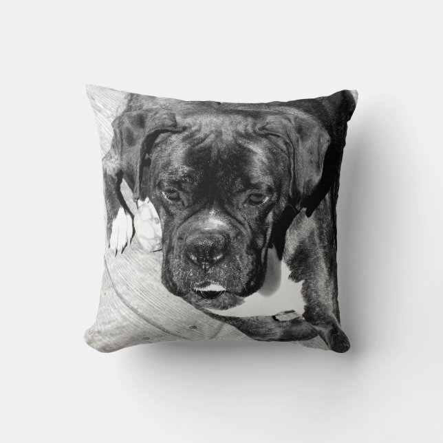 Almohada de tiro de MoJo del americano del perro (Anverso)