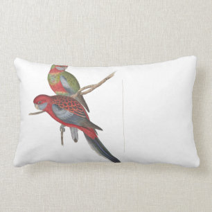 Almohada de tiro de Rosella