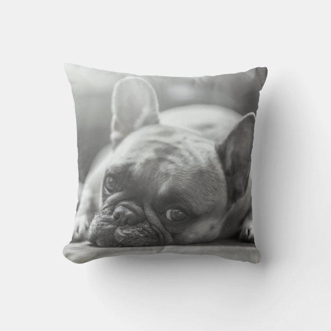 Almohada de tiro del bulldog francés (Anverso)