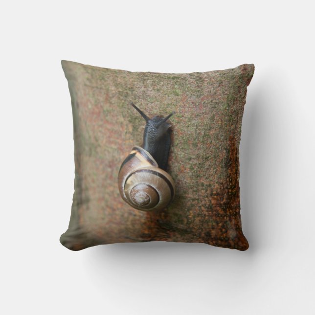 Almohada de tiro del caracol (Anverso)