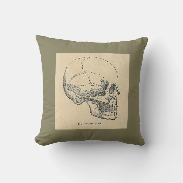 Almohada de tiro del cráneo de la anatomía del (Anverso)