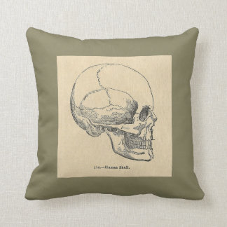 Almohada de tiro del cráneo de la anatomía del