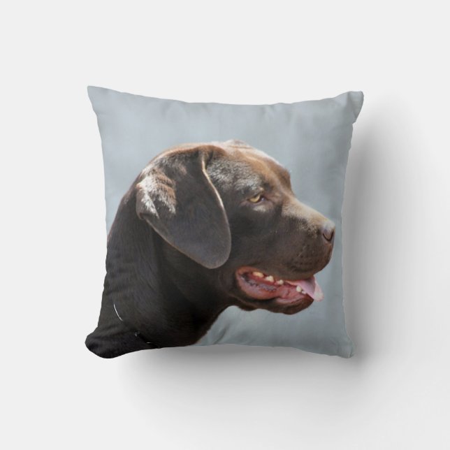 Almohada de tiro del cuadrado del perro del (Anverso)