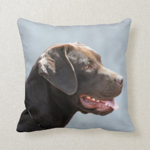 Almohada de tiro del cuadrado del perro del