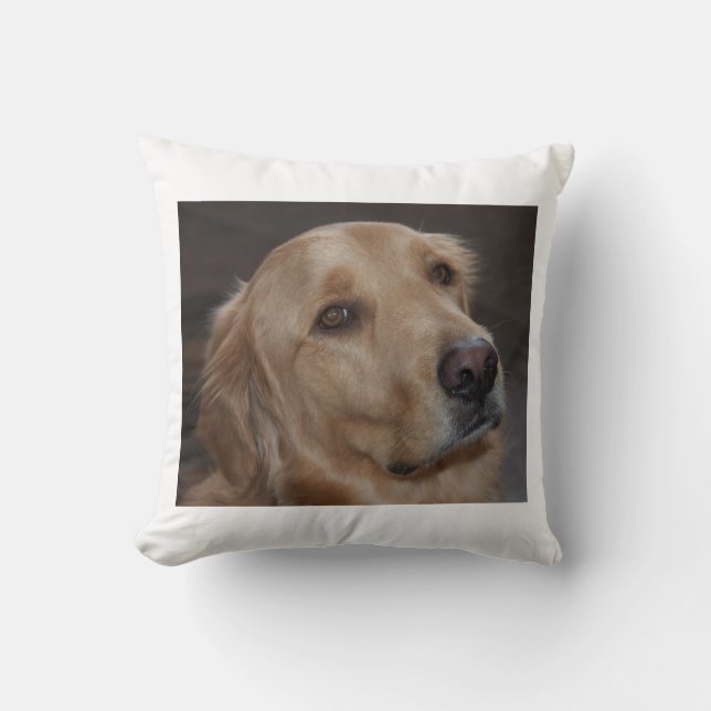 Almohada de tiro del golden retriever (Anverso)