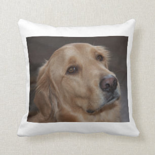 Almohada de tiro del golden retriever