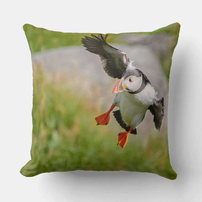Almohada de tiro del vuelo del pájaro del (Anverso)