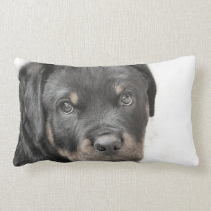 Almohada de tiro lumbar del perro de Rottweiler