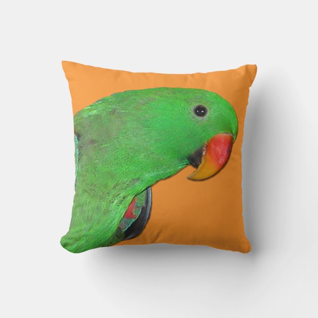 Almohada de tiro masculina del loro de Eclectus (Anverso)