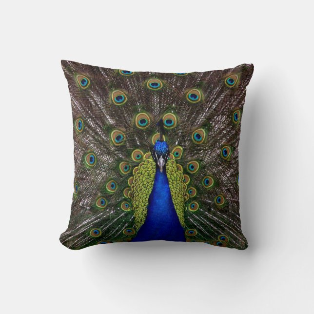 Almohada de tiro orgullosa del pavo real (Anverso)