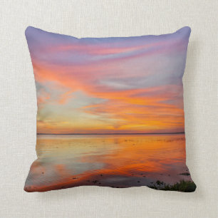 Almohada de tiro pintada del cielo