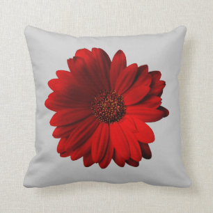 Almohada de tiro roja de la margarita del Gerbera