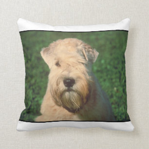 Almohada de trigo suavemente revestida de Terrier