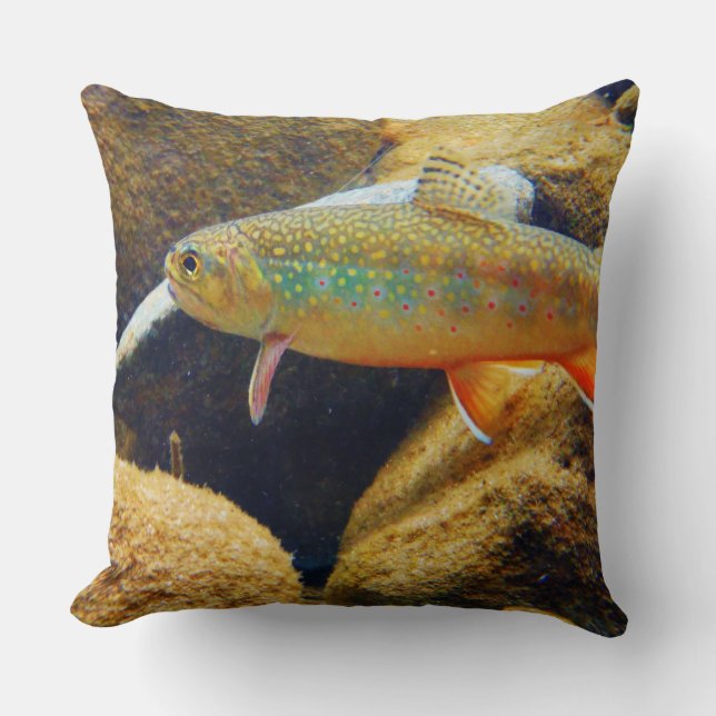 almohada de trucha de arroyo (Anverso)