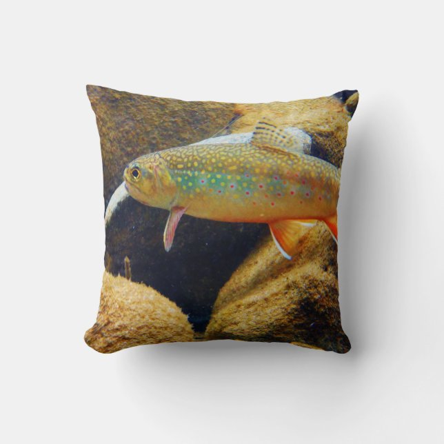 almohada de trucha de arroyo (Anverso)