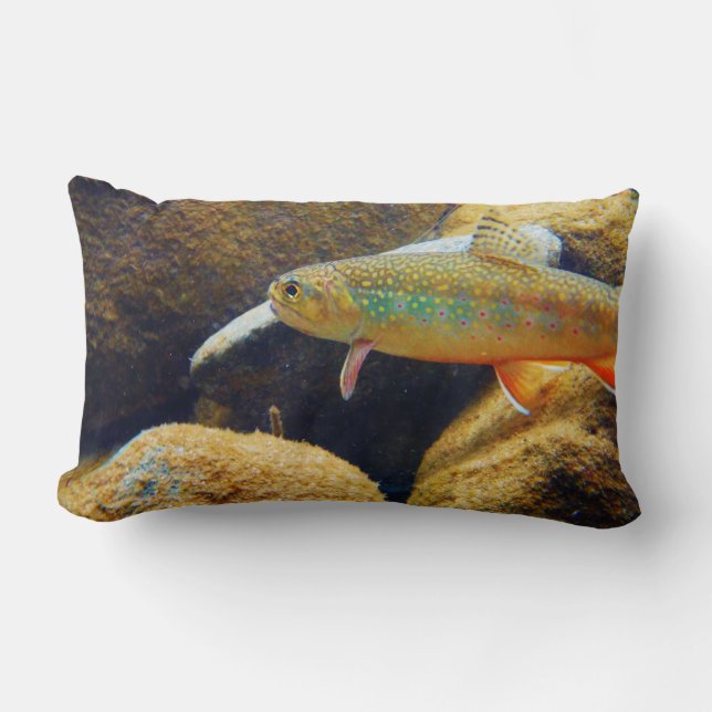 Almohada de trucha rota (Anverso)