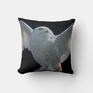 Almohada de verificación previa al vuelo