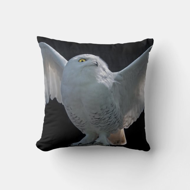 Almohada de verificación previa al vuelo (Anverso)