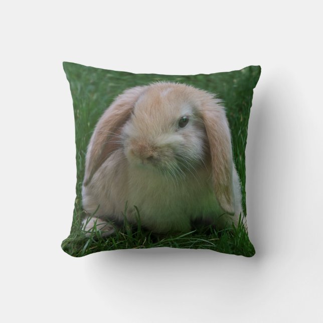 Almohada de Wascally Wabbit (Anverso)