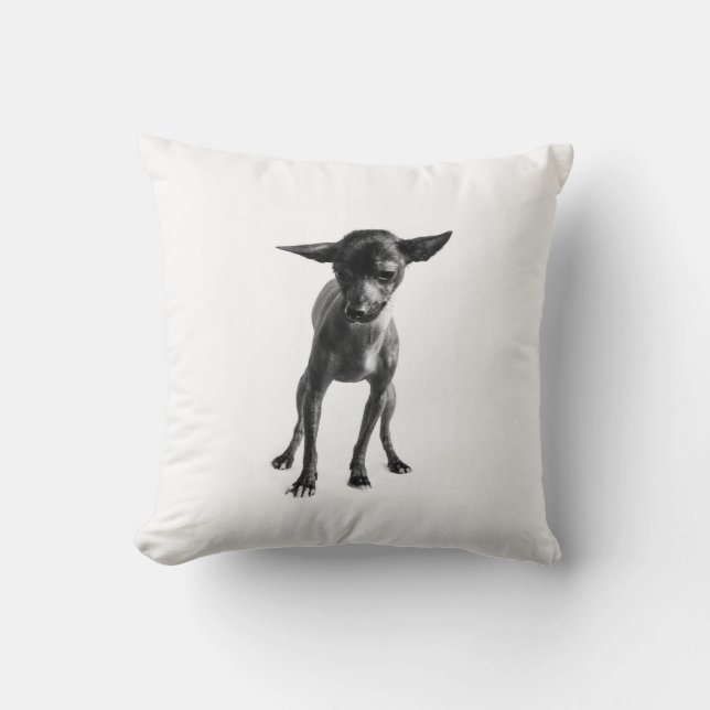 Almohada de Xoloitzcuintle (Anverso)