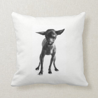 Almohada de Xoloitzcuintle