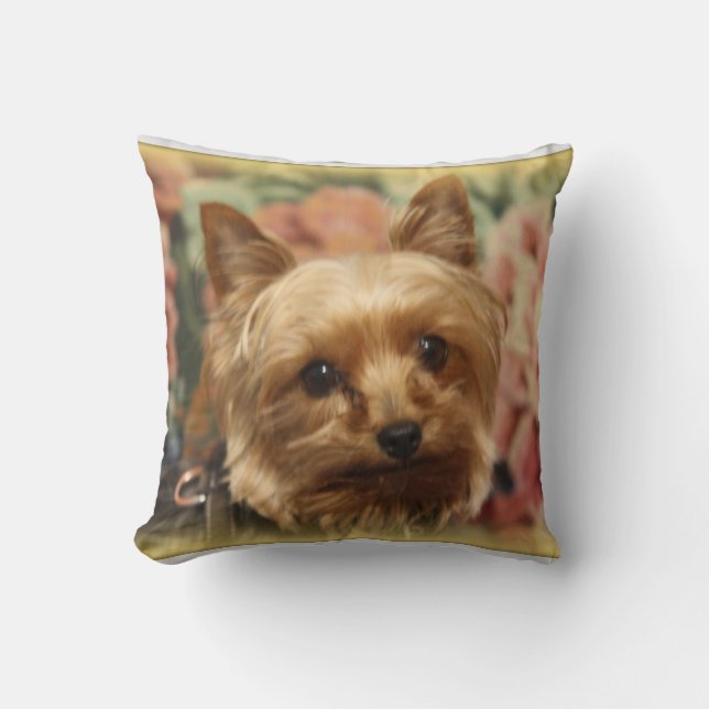Almohada de Yorkie (Anverso)