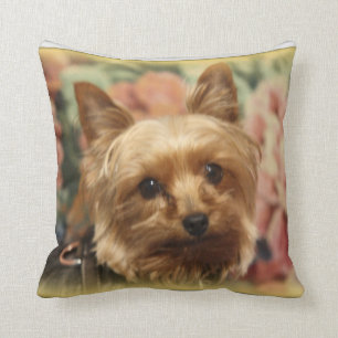 Almohada de Yorkie