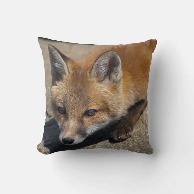 Almohada de zorro luna (Anverso)