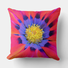 Almohada Decorativa