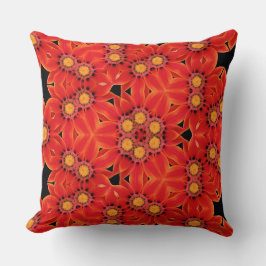 Almohada Decorativa
