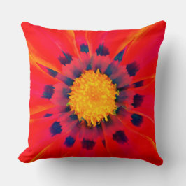Almohada Decorativa