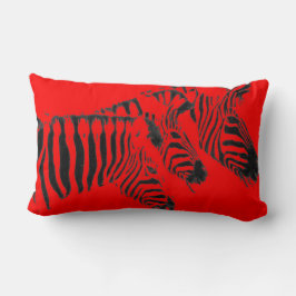 Almohada Decorativa
