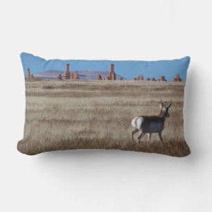 Almohada Decorativa