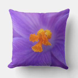 Almohada Decorativa