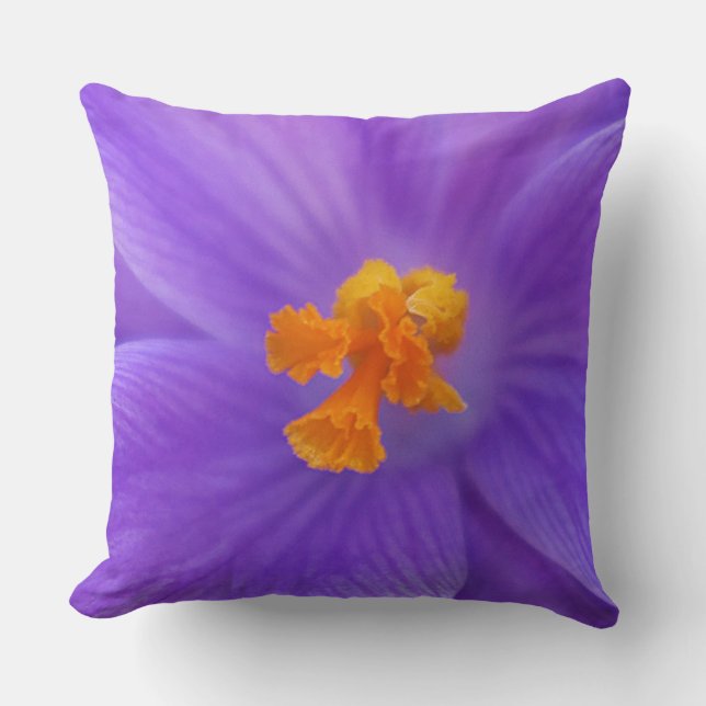 Almohada Decorativa (Anverso)