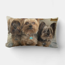 Almohada Decorativa