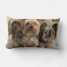 Almohada Decorativa