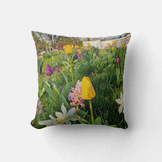 Almohada Decorativa