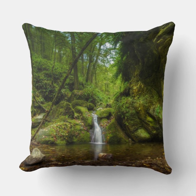 Almohada Decorativa Cascada Oculta (Anverso)