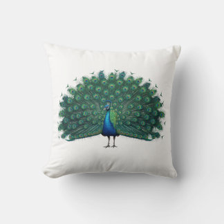 Almohada decorativa con elegante despliegue de plu
