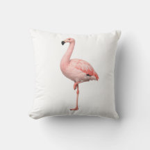 Almohada decorativa de flamenco rosa elegante acen