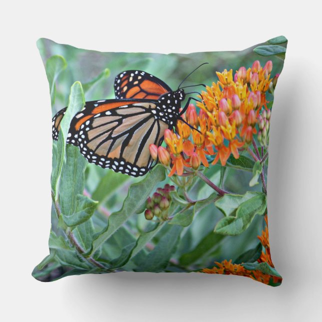 Almohada decorativa de la mariposa (Anverso)
